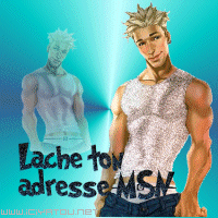Lache ton adresse MSN